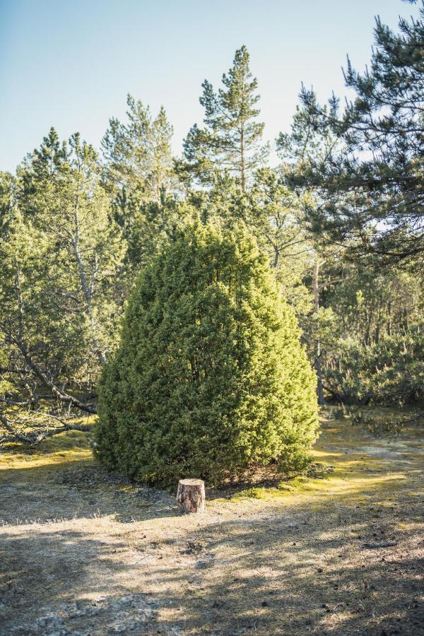 Miera Osta Pāvilosta Esterno foto